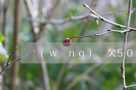 網(wǎng)貸欠5000算多嗎