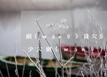 網(wǎng)貸欠5000逾期一年還多少(欠網(wǎng)貸1萬多逾期一年多了)