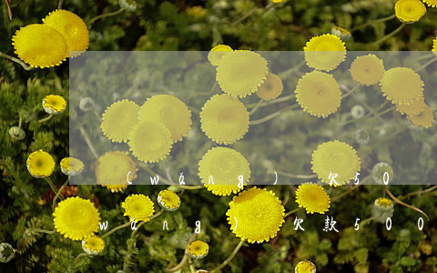 網(wǎng)貸欠50萬會被起訴嗎(網(wǎng)貸欠款500元會被起訴嗎)