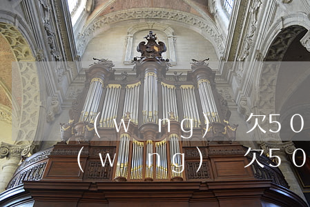 網(wǎng)貸欠50萬沒錢還怎么辦(網(wǎng)貸欠50萬沒錢還怎么辦?)