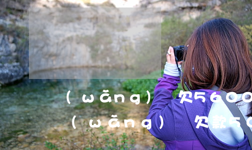 網(wǎng)貸欠56000多怎么辦-網(wǎng)貸欠款5000會怎么樣