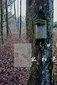 網(wǎng)貸欠5萬(wàn)多該怎么和老公說(shuō)(網(wǎng)貸欠了六萬(wàn)多怎么跟老婆說(shuō))
