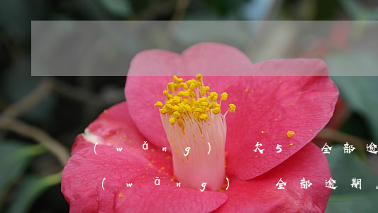 網(wǎng)貸欠5萬全部逾期(欠了五萬網(wǎng)貸全部逾期怎么辦)