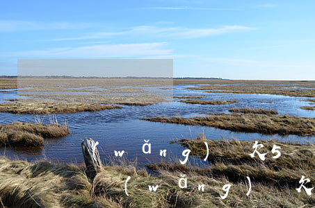 網(wǎng)貸欠5萬會(huì)上門嗎(網(wǎng)貸欠5萬多嗎)