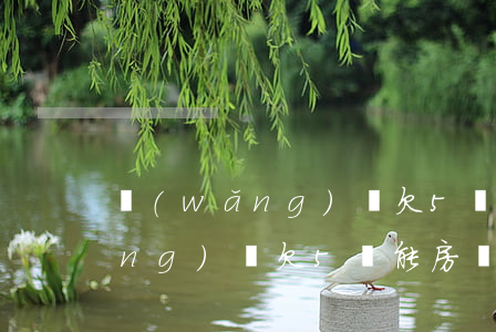 網(wǎng)貸欠5萬申請房貸(網(wǎng)貸欠5萬能房貸嗎)