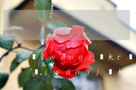 網(wǎng)貸欠5萬網(wǎng)貸(網(wǎng)貸欠五千)