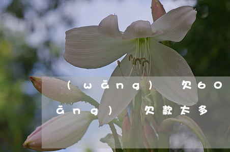 網(wǎng)貸欠6000找律師(網(wǎng)貸欠款太多請(qǐng)律師)