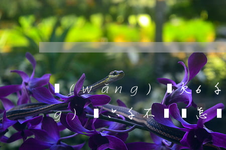 網(wǎng)貸欠6千多不還(網(wǎng)貸六千不還會怎樣)