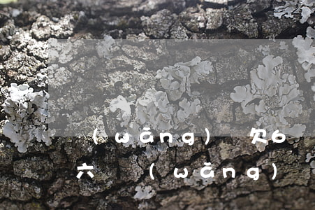 網(wǎng)貸欠6萬多還不起了(欠了五六萬網(wǎng)貸還不上怎么辦)