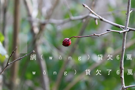 網(wǎng)貸欠6萬還能辦房貸嗎(網(wǎng)貸欠了6萬怎么辦)