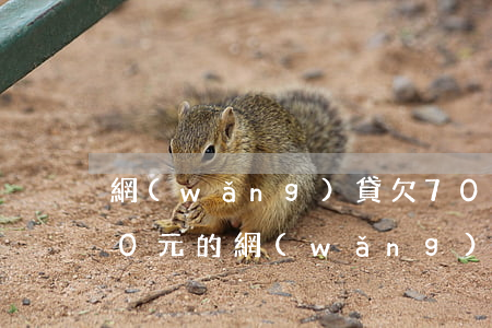 網(wǎng)貸欠7000多(欠了7000元的網(wǎng)貸怎么辦)
