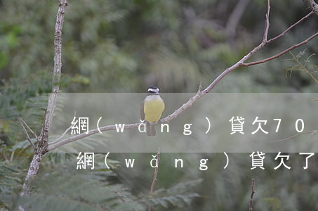 網(wǎng)貸欠70萬自救方法 知乎-網(wǎng)貸欠了70萬該怎么辦
