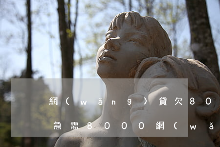 網(wǎng)貸欠8000不還會怎么樣(急需8000網(wǎng)貸不過怎么辦)