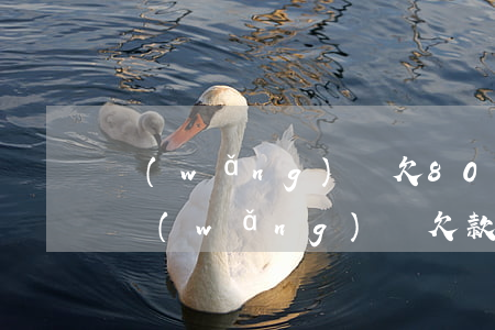 網(wǎng)貸欠800塊錢起訴有用嗎(網(wǎng)貸欠款2000元可以起訴嗎)