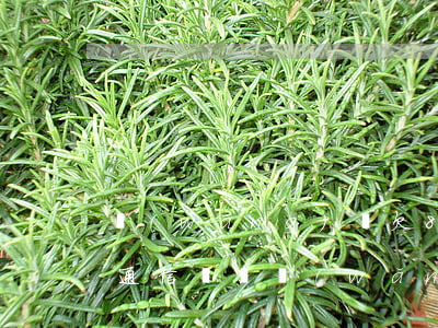 網(wǎng)貸欠800會(huì)曝通信錄嗎(網(wǎng)貸平臺(tái)欠錢會(huì)爆通訊錄嗎?)