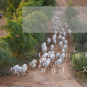 網(wǎng)貸欠800會怎么樣(網(wǎng)貸欠了2000多會怎樣?)