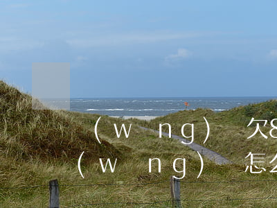 網(wǎng)貸欠8萬怎么上路(欠8萬網(wǎng)貸怎么上岸啊)