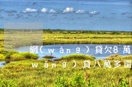 網(wǎng)貸欠8萬還不起了(欠了網(wǎng)貸八萬多還不上怎么辦)