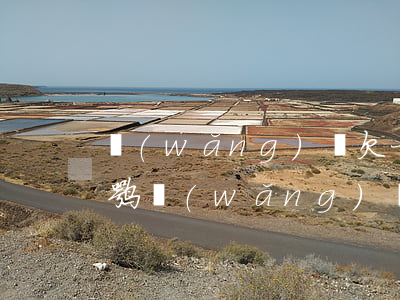 網(wǎng)貸欠一個(gè)月上征信嘛(網(wǎng)貸這個(gè)月還清下個(gè)月征信上面會(huì)有嗎)