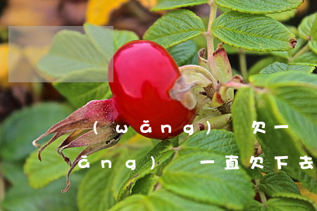 網(wǎng)貸欠一個月會怎么樣(網(wǎng)貸一直欠下去會怎么樣)