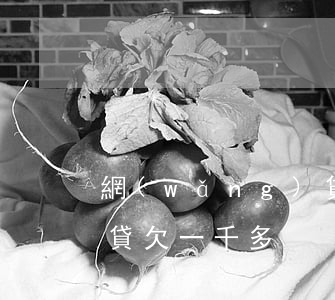 網(wǎng)貸欠一千兩(網(wǎng)貸欠一千多)