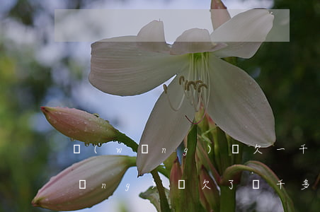 網(wǎng)貸欠一千多能起訴嗎(網(wǎng)貸欠了兩千多會起訴嗎)