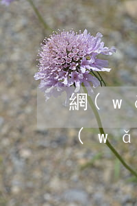 網(wǎng)貸欠一千多起訴怎么處理(網(wǎng)貸欠一千會被起訴嗎)