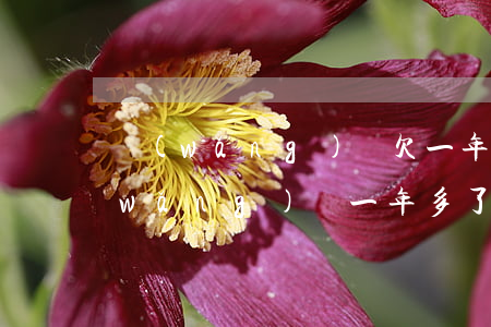 網(wǎng)貸欠一年了不找我了(欠網(wǎng)貸一年多了沒有還)