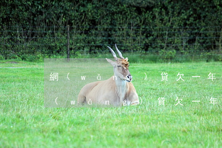 網(wǎng)貸欠一年了 什么時候起訴(網(wǎng)貸欠一年了 什么時候起訴)