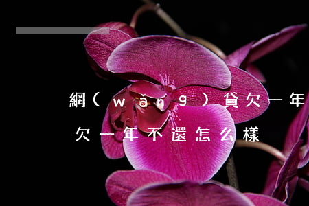 網(wǎng)貸欠一年(網(wǎng)貸欠一年不還怎么樣)