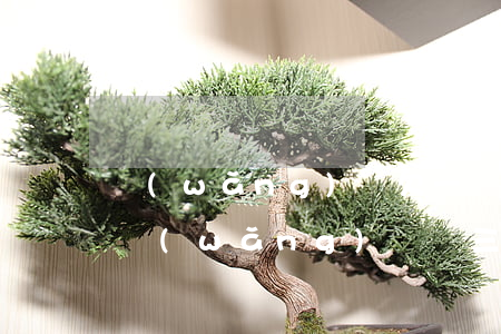 網(wǎng)貸欠一萬(wàn)三(欠了網(wǎng)貸兩三萬(wàn))