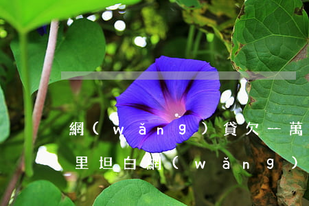 網(wǎng)貸欠一萬(wàn)六和家里坦白(網(wǎng)貸七八萬(wàn)怎么和家人坦白)