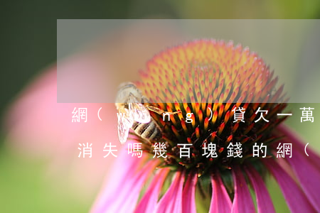 網(wǎng)貸欠一萬(wàn)可以玩消失嗎(幾百塊錢的網(wǎng)貸不還有什么后果)
