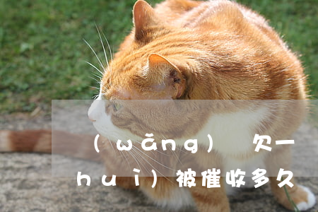 網(wǎng)貸欠一萬(wàn)多會(huì)被催收多久(網(wǎng)貸多久不還會(huì)被催收)