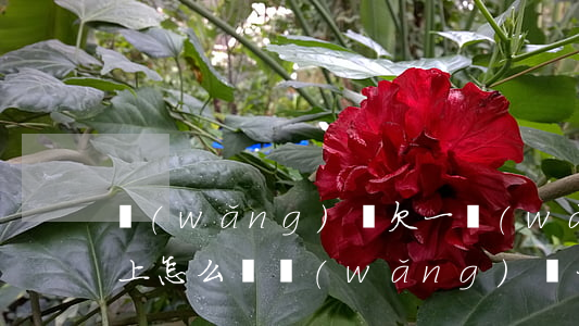 網(wǎng)貸欠一萬(wàn)多還不上怎么辦(網(wǎng)貸一百多萬(wàn)還不上怎么辦)