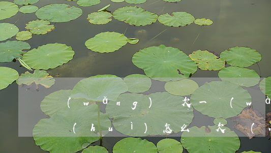 網(wǎng)貸欠一萬(wàn)還不上會(huì)怎么辦(欠網(wǎng)貸一千多不還會(huì)怎樣)