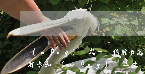 網(wǎng)貸欠一萬信用卡怎么辦(欠信用卡和網(wǎng)貸二十萬怎么辦)