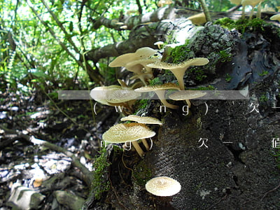 網(wǎng)貸欠一萬值得起訴嗎(網(wǎng)貸欠一萬值得起訴嗎)