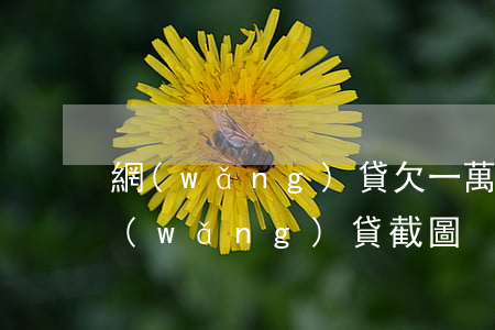網(wǎng)貸欠一萬圖片(欠一萬多的網(wǎng)貸截圖)