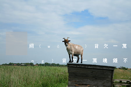 網(wǎng)貸欠一萬塊錢不還(網(wǎng)貸欠一萬塊錢不還)