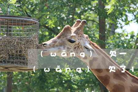 網(wǎng)貸欠一萬多名錢還怎么辦(網(wǎng)貸欠了1萬多怎么辦)