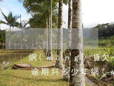 網(wǎng)貸欠一萬多嚴(yán)重逾期判多少年(網(wǎng)貸逾期1萬多會(huì)起訴啊)