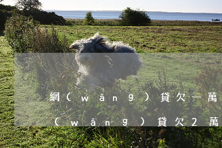 網(wǎng)貸欠一萬多弄成了兩萬多(網(wǎng)貸欠2萬多算多嗎)