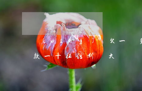 網(wǎng)貸欠一萬多征信有問題么(欠款一千征信影響大嗎)