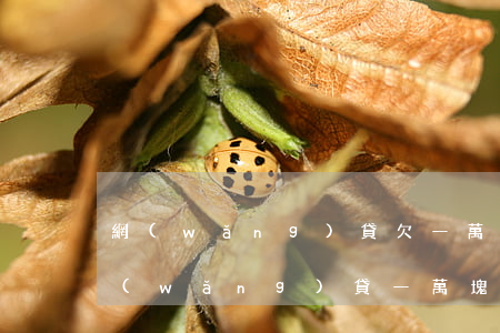 網(wǎng)貸欠一萬多會被起訴(欠了網(wǎng)貸一萬塊錢會被起訴嗎)