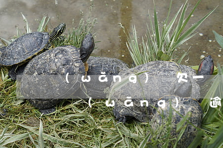 網(wǎng)貸欠一萬多逾期三年(欠十幾萬網(wǎng)貸逾期三年多了)
