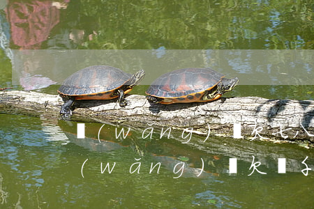 網(wǎng)貸欠七八千有可能上門嗎(網(wǎng)貸欠兩千多會上門嗎)