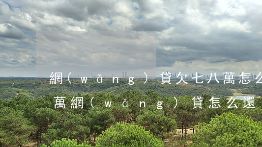 網(wǎng)貸欠七八萬怎么辦(欠了七八萬網(wǎng)貸怎么還)