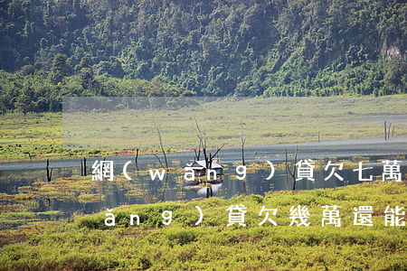 網(wǎng)貸欠七萬車貸能批嗎(網(wǎng)貸欠幾萬還能車貸嗎)