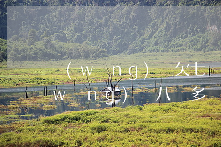網(wǎng)貸欠七萬還不起了(欠了網(wǎng)貸八萬多還不上怎么辦)